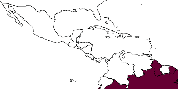 map of Anacrabro meridionalis     Ducke, 1908